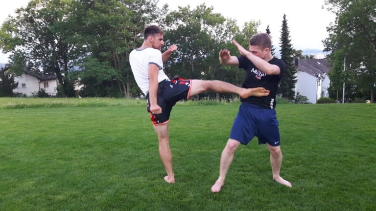 kenpo et muay thai